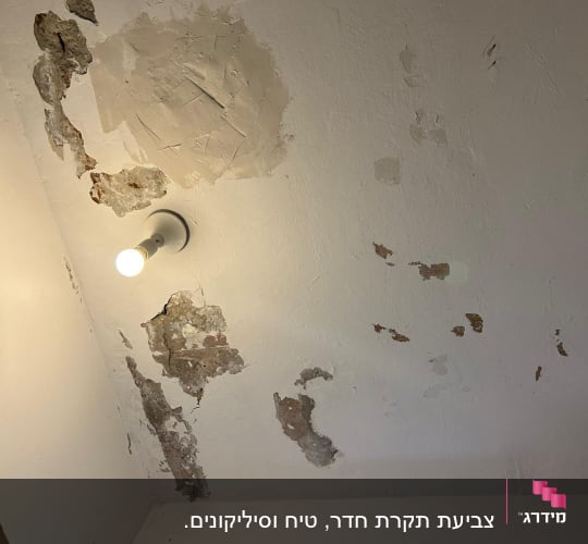 תיקוני טיח וצבע על תקרה מתקלפת